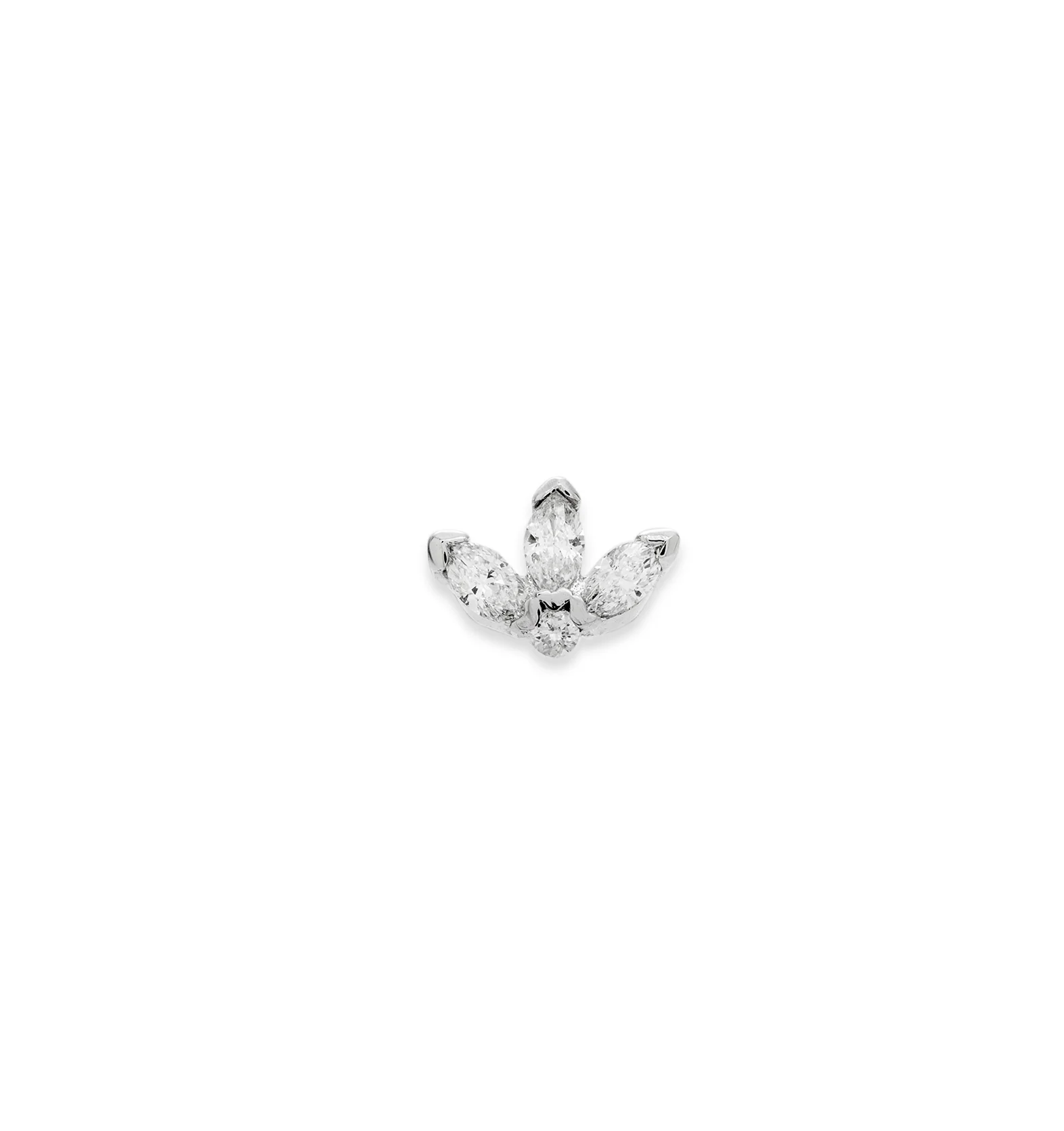 Musca White Gold - Image 3